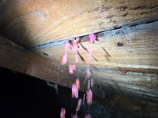 Colorant traceur révélant l'origine d'une fuite sur réseau d'évacuation en cave