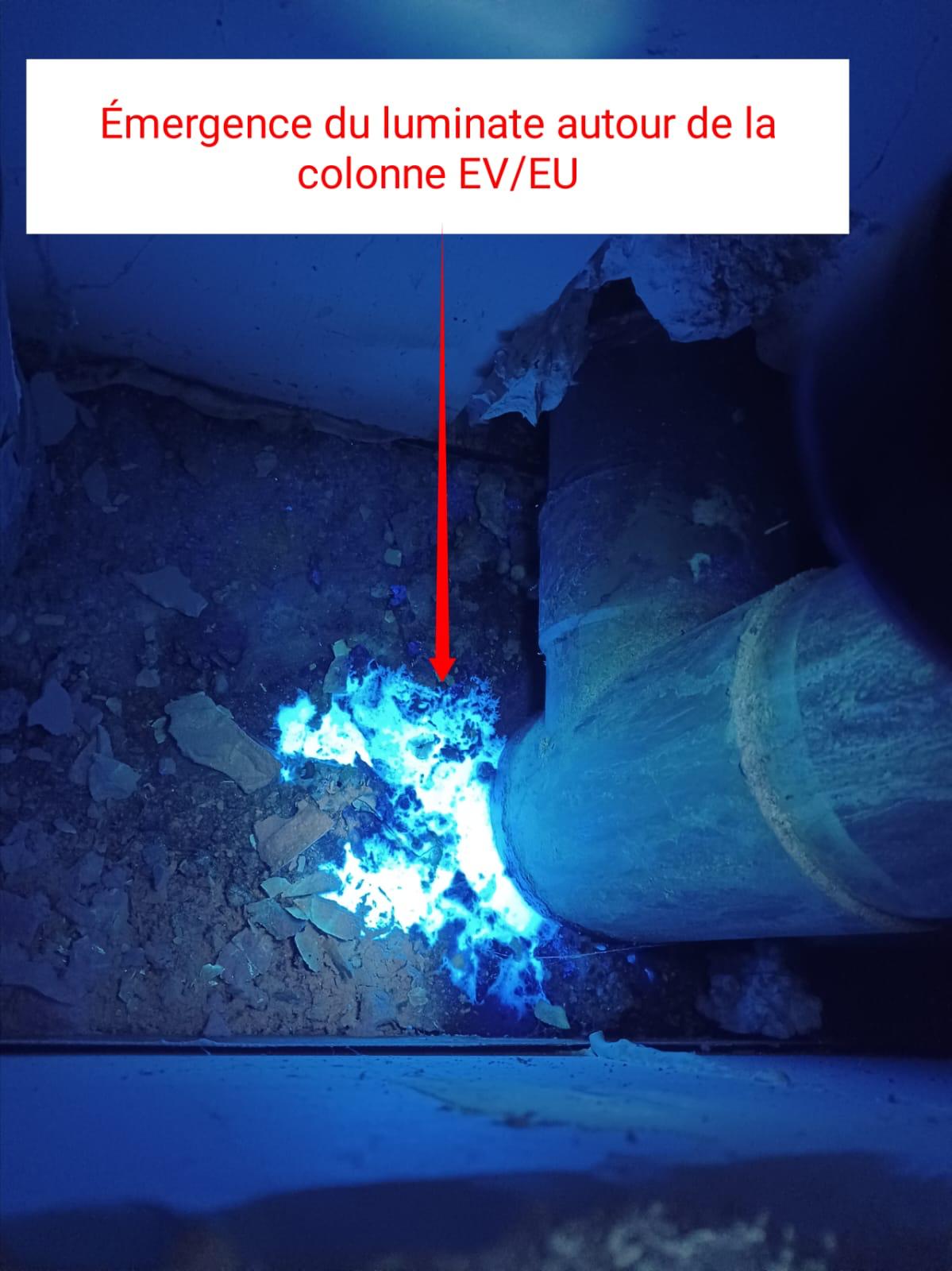 Emergence du luminate autour de la colonne EV/EU